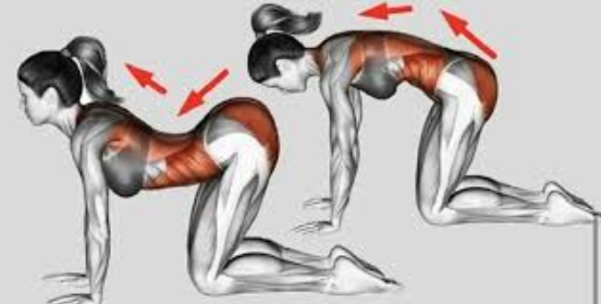 [Александр Волоткевич] Позиционирование диафрагмы _0.png